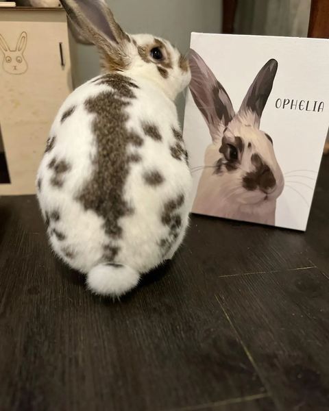 Custom Pet Face Canvas in white with Name