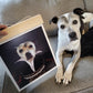 Custom Classy or Modern Canvas Portrait For Your Favorite Pet